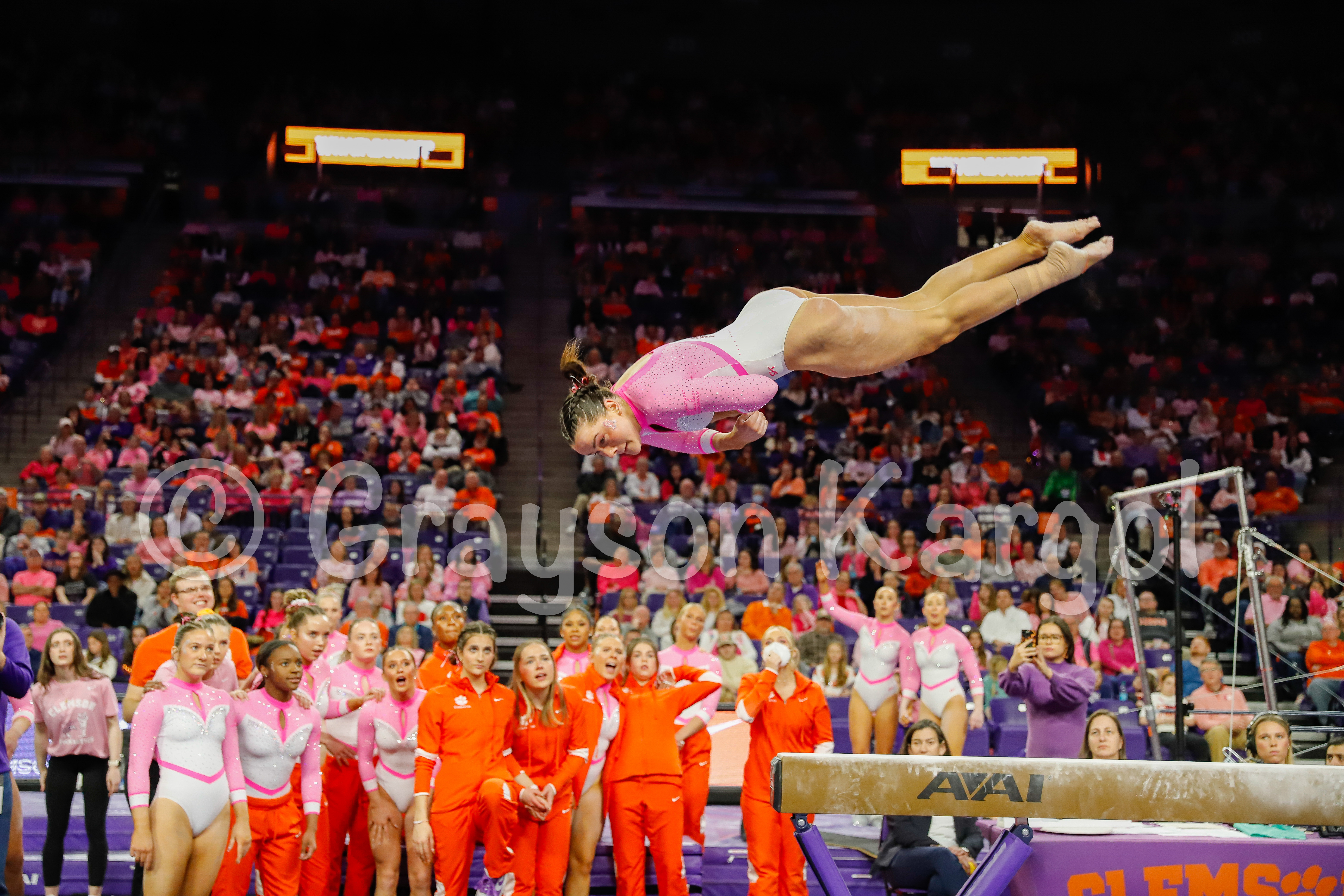 Clemson Gymnastics vs NC State on 2/14/25